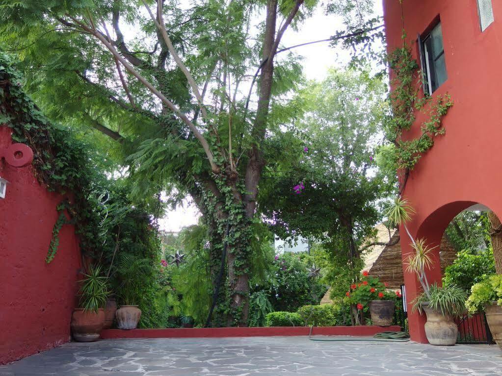 Casa De Las Conservas Comfort San Miguel de Allende Exterior foto